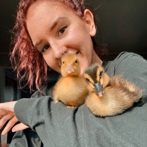 Meet your Posher, Kat